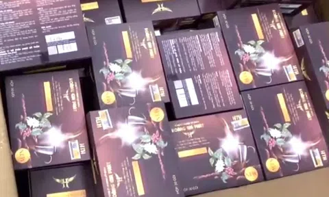 Phát hiện hầm dưới lòng đất cất giấu gần 2.000 hộp cà phê nghi chứa chất cấm