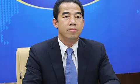 Bắt tạm giam Thứ trưởng bộ Ngoại giao Tô Anh Dũng
