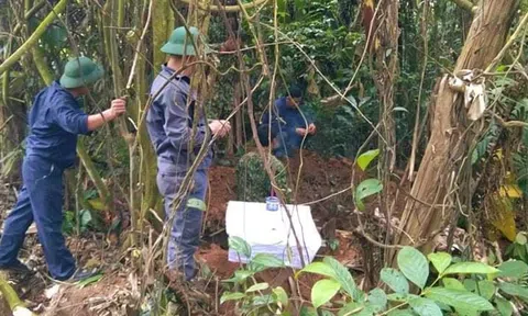 Vụ tìm thấy hài cốt liệt sĩ trong vườn nhà dân ở Quảng Trị: Có nhẫn, kẹp tóc và vòng cườm