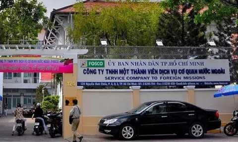 TP.HCM: Ủy ban Kiểm tra Thành ủy kỷ luật hàng loạt cán bộ