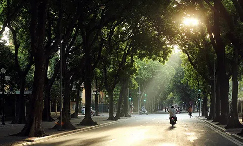 Dự báo thời tiết ngày 21/4/2022: Hà Nội sáng sương mù trời se lạnh