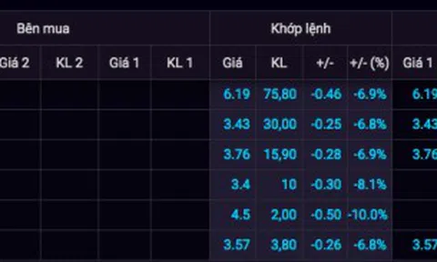 Công an tìm nhà đầu tư cổ phiếu FLC bị thiệt hại