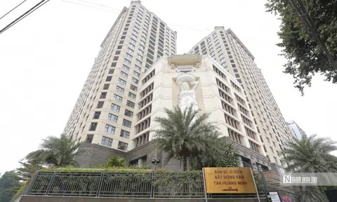 Nhà đầu tư trái phiếu Tân Hoàng Minh cần làm gì để được hoàn tiền?