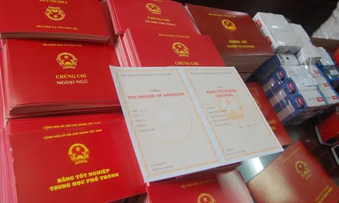 Vì sao cựu Chủ tịch Ủy ban MTTQ phường ở Thái Bình bị khởi tố?