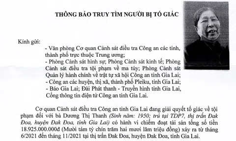 Cụ bà 72 tuổi dùng mánh khóe gì để lừa đảo 19 tỷ đồng ở Gia Lai?