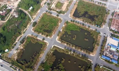 Cưỡng chế tiền thuế 2 doanh nghiệp trúng đấu giá "đất vàng" Thủ Thiêm