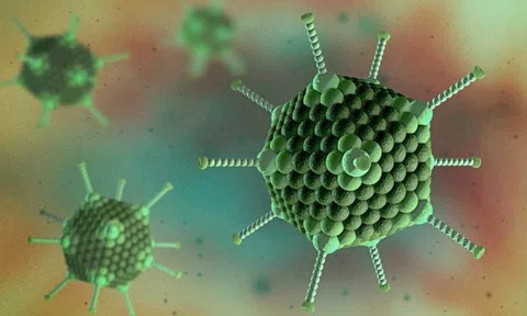 Chuyên gia chỉ ra dấu hiệu ở trẻ nghi mắc viêm gan bí ẩn