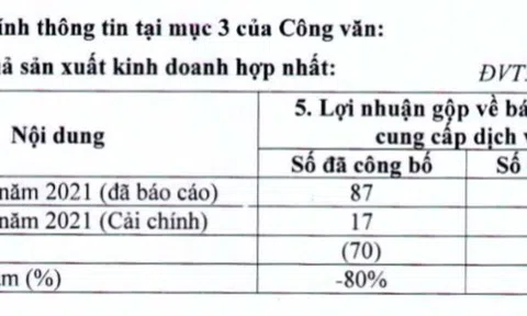 Những khoản lỗ trăm tỷ gây bất ngờ của doanh nghiệp họ FLC