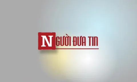 Bình Thuận: Tài xế dùng xe ô tô truy sát làm một người chết đã đầu thú