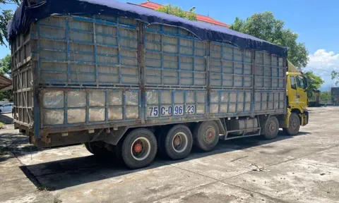 Quảng Trị: Làm rõ thông tin CSGT đánh lái xe không chấp hành hiệu lệnh