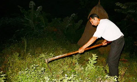 Thực hư chuyện "dị nhân" 40 năm không ngủ ở Phú Thọ