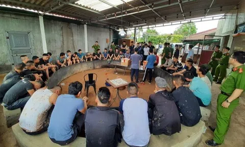 Triệt xoá tụ điểm đánh bạc ở Hải Dương: Các đối tượng tổ chức đá gà ăn tiền thế nào?