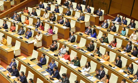 Xử lý sai phạm Việt Á, Tân Hoàng Minh: Cử tri bày tỏ sự tin tưởng