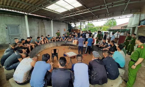 Mánh khóe của "ông trùm" 46 tuổi lập sới đá gà ăn tiền trong trang trại ở Hải Dương