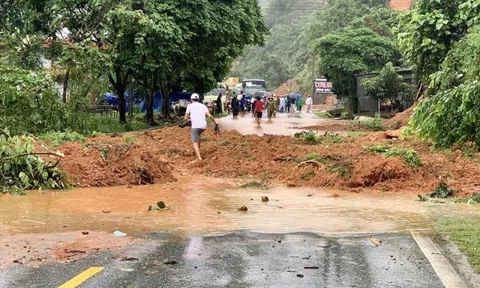 Mưa lớn nhiều nơi khiến 3 người thiệt mạng, gần 10.000 cây trồng bị ngập úng