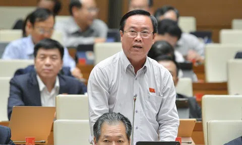 "Thanh tra dày đặc nhưng phát hiện tham nhũng, tiêu cực thì rất ít"