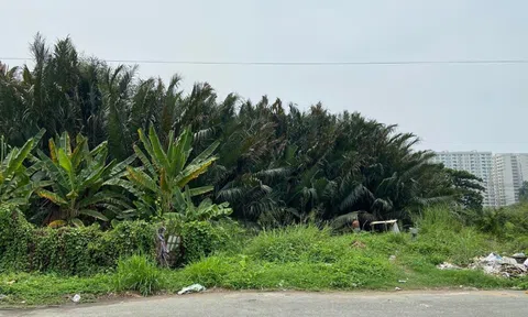 Dự án chưa giải phóng mặt bằng, chưa có quy hoạch 1/500, chủ đầu tư An Phú – An Khánh bán đất nền được không?