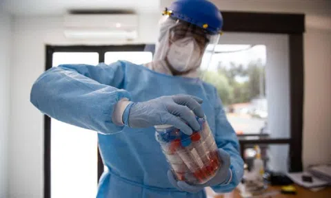 WHO đánh giá nguy cơ của bệnh đậu mùa khỉ