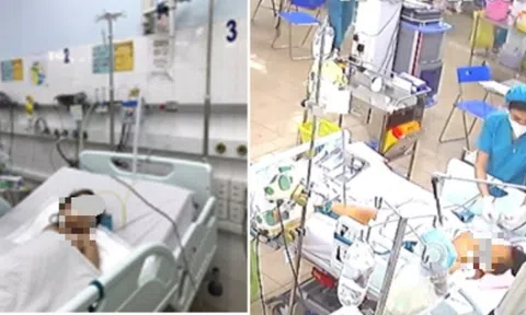 Men gan tăng cao hơn 100 lần so với bình thường do mắc sốt xuất huyết