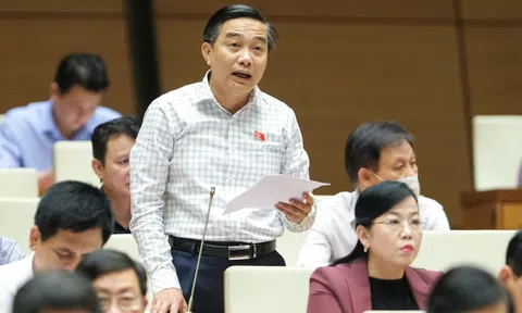 ĐBQH: Cấp giấy đi đường, xét nghiệm Covid-19 diện rộng gây lãng phí