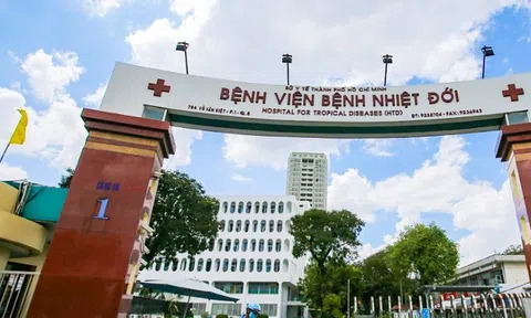 TP.HCM phát hiện 2 ca sốt rét ác tính nhập cảnh từ châu Phi