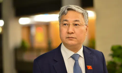 "Thanh tra, kiểm tra đang trùng lặp và gây phiền hà, khó khăn"