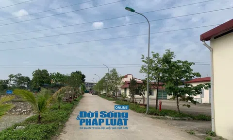 Viện Nông nghiệp Thanh Hóa: Công tác thẩm định giá gói thầu đã thực sự công tâm?