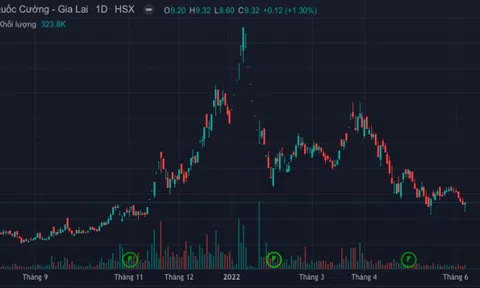 Sau lùm xùm đất đai, Quốc Cường Gia Lai lại bị phạt vi phạm về thuế