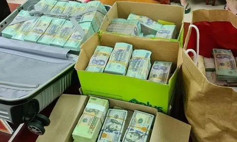 Vụ tuồn hơn 30.000 tỷ đồng ra nước ngoài: Truy tố 13 bị can