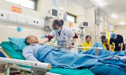 Sốc phản vệ nặng sau khi bị ong vàng đốt trong lúc dọn vườn nhà