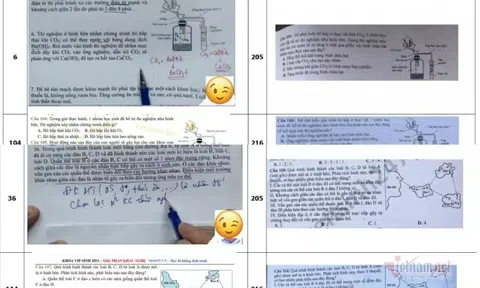 Thứ trưởng bộ GD&ĐT: Vụ lộ đề thi Sinh không ảnh hưởng đến kết quả chung kỳ thi tốt nghiệp THPT 2021