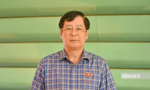 ĐBQH Trần Công Phàn: Xử lý bạo lực phải xuất phát từ đặc điểm gia đình