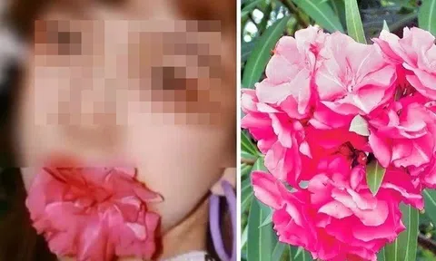 Nữ sinh ngộ độc nhập viện sau khi ngậm hoa để chụp ảnh “sống ảo”