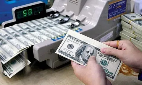 Ngân hàng Nhà nước sẽ tăng tần suất bán can thiệp ngoại tệ để ổn định tỷ giá