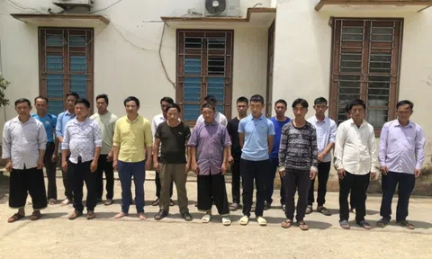 Đánh bạc bằng chọi trâu, 19 người bị khởi tố