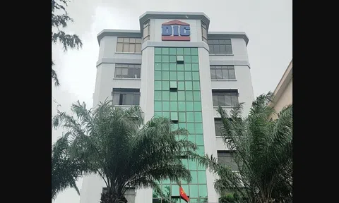 DIC Corp bị cưỡng chế thuế