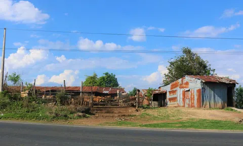 Chuyện ở xóm chăn bò thuê trên đỉnh đèo Chư Sê