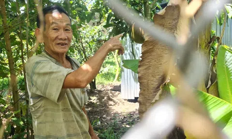 Hậu Giang: Dự án đường tỉnh 925B đến nay ra sao?