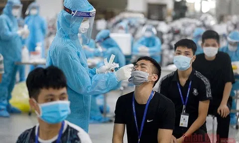 Kết luận của Kiểm toán Nhà nước về việc quản lý và sử dụng kit test COVID-19