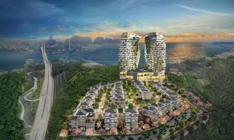 Thông qua hợp đồng góp vốn, chủ đầu tư Phoenix Legend Hạ Long bán dự án trái phép?