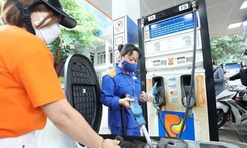 Thanh tra Chính phủ yêu cầu bộ Công Thương báo cáo loạt vấn đề về xăng dầu