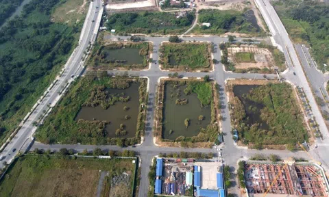 Không nộp đủ tiền trúng đấu giá đất vàng Thủ Thiêm, hai doanh nghiệp mất hơn 300 tỷ tiền cọc