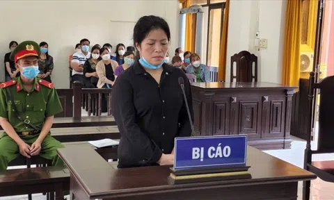 Nữ cựu hiệu trưởng tham ô, lừa đảo chiếm đoạt tài sản ra hầu tòa