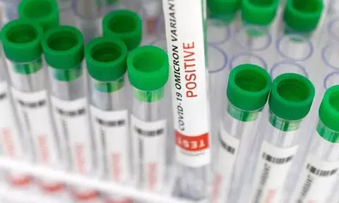 Mối lo ngại về biến thể phụ mới BA.2.75