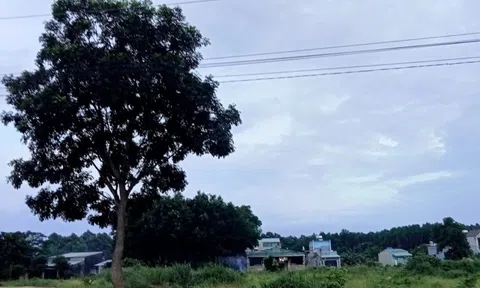 Nghịch lý giá thị trường trên 20 triệu đồng/m2, giá bồi thường chỉ hơn 2 triệu/m