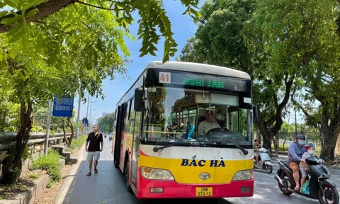 Hà Nội cho phép chỉ định thầu doanh nghiệp thay thế buýt Bắc Hà
