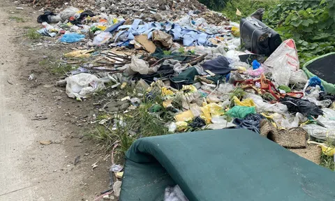 Tp.HCM: Nhếch nhác rác thải trên nhiều tuyến đường
