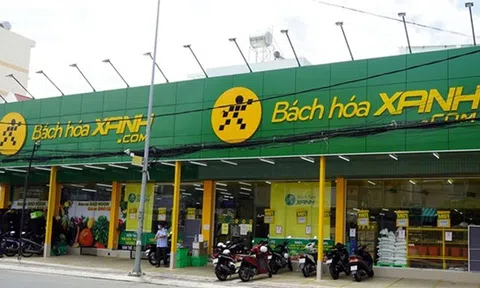 Bách Hóa Xanh của đại gia Nam Định đóng cửa hơn 300 của hàng
