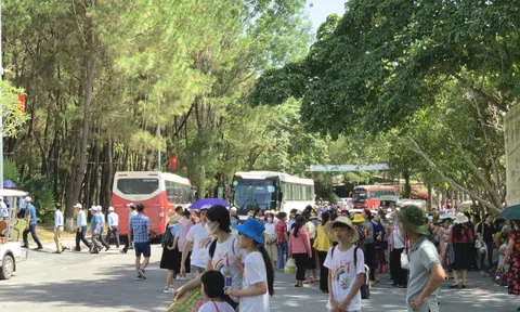 Những nén tâm hương nơi Cõi thiêng Đồng Lộc