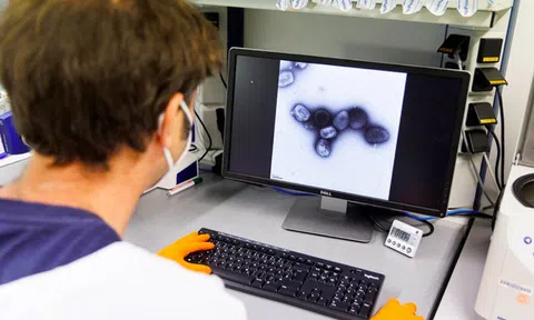 Châu Âu chấp thuận vắc-xin phòng đậu mùa khỉ